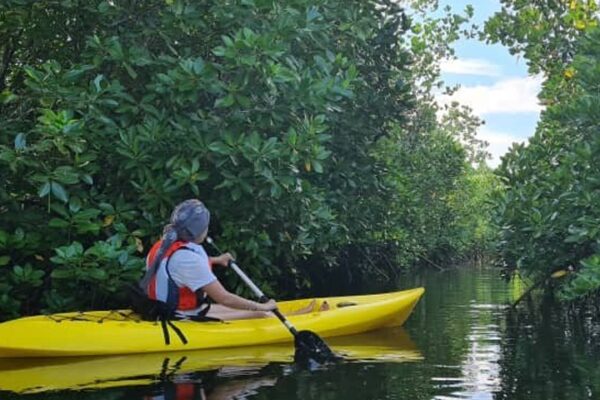 Kayaking in Uzi